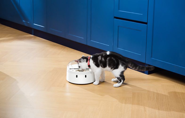 Smart food dispenser CatLink F03 Standard, Catlink 6972884750965