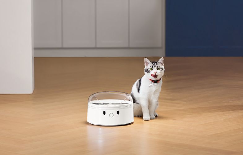 Smart food dispenser CatLink F03 Standard, Catlink 6972884750965