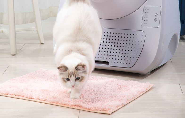 Intelligent self-cleaning cat litterbox Catlink Scooper Young Version, Catlink CL-03