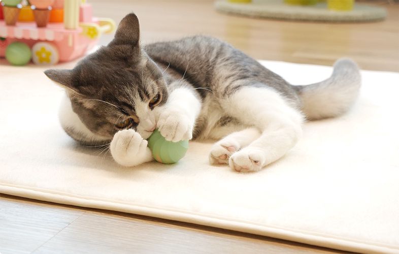 Interactive ball for cats Cheerble Ice Cream (Green), Cheerble C0419-C-G