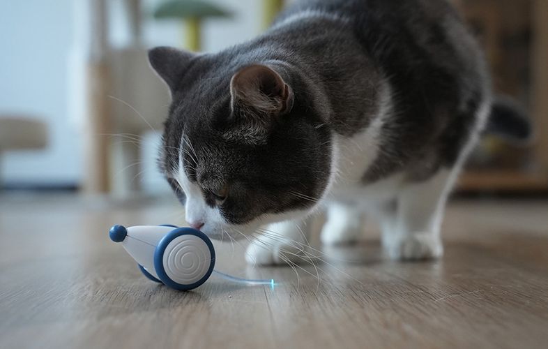 Interactive Cat Toy Cheerble Wicked Mouse (Blue), Cheerble C0821