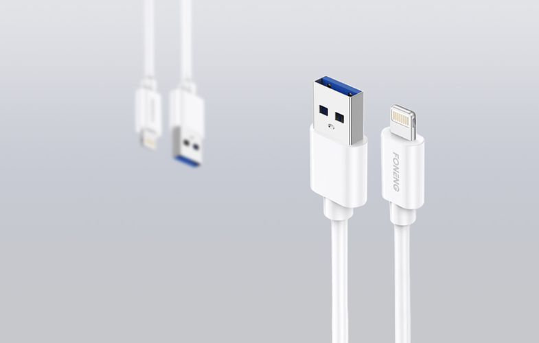 Charger Foneng EU35 12W 2x USB-A with Lightning cable 2.4A, Foneng EU35 Lightning