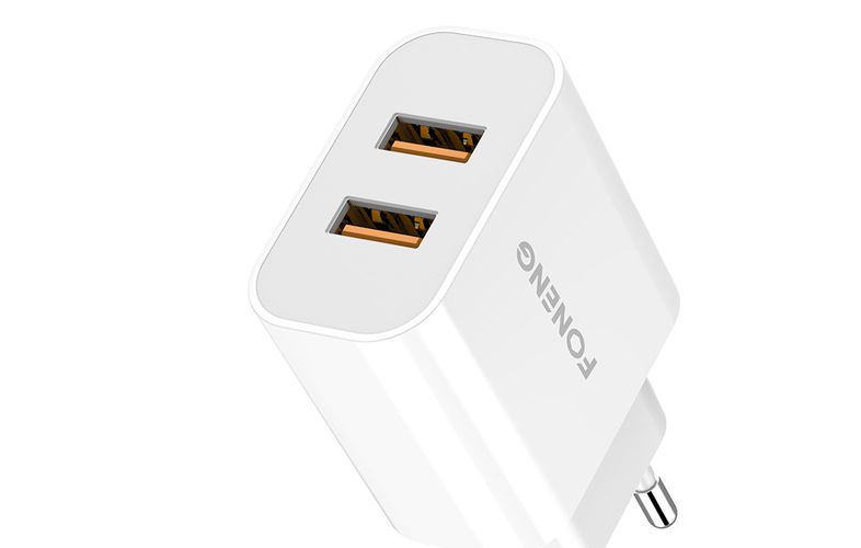 Fast charger Foneng 2x USB EU45 12W + USB Micro cable, Foneng EU45 Micro