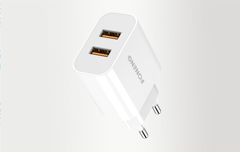 Fast charger Foneng 2x USB EU45 12W + USB Type C cable, Foneng EU45 Type-C