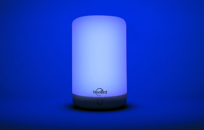 Smart night light WiFi NiteBird LB3 Tuya, NiteBird LB3