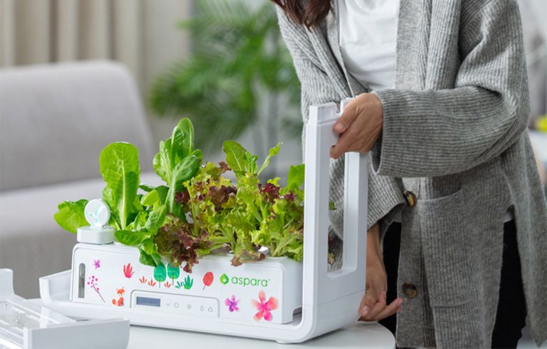 SmartPot aspara by GrowGreen Stylist Lite Smart Grower, Aspara GS1004EU