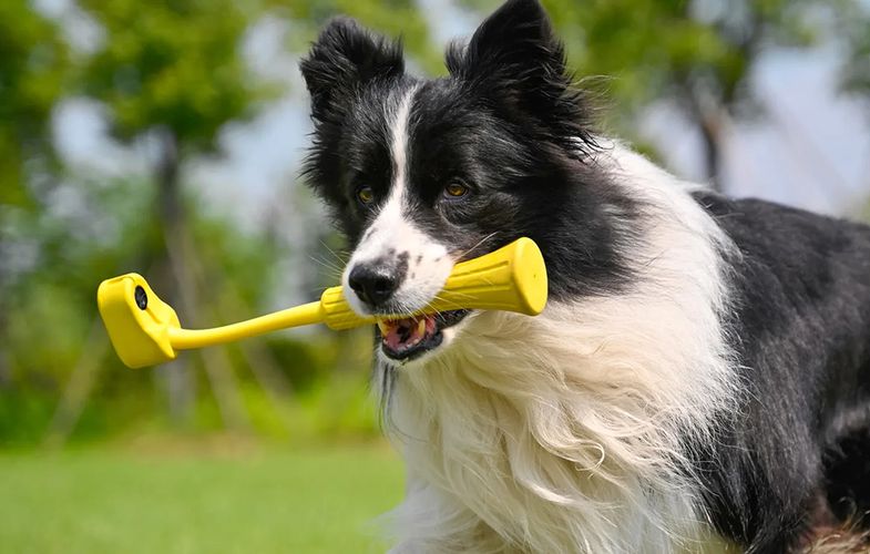 Fetch Stick Insta360 GO 3, Insta360 CINSBBKP