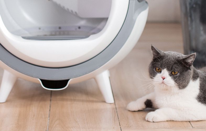 Intelligent self-cleaning cat litter box Petwant, PetWant IP-C101WIFI