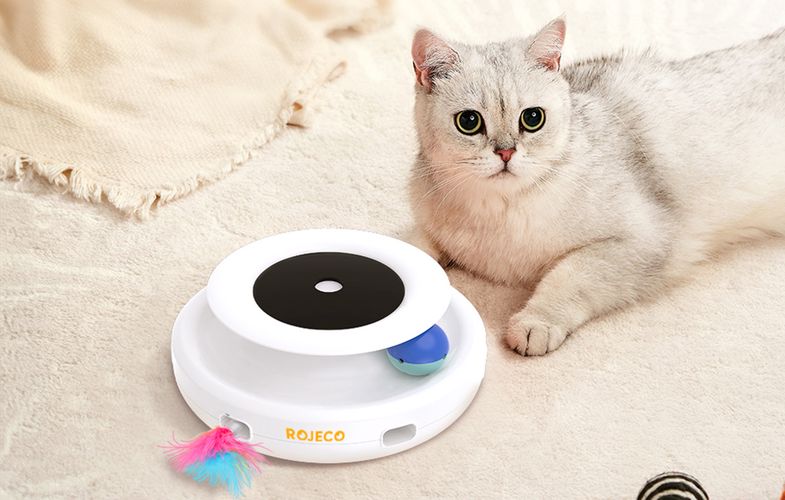 Rojeco 2 In 1 Interactive Cat Toys, Rojeco RWJ-10