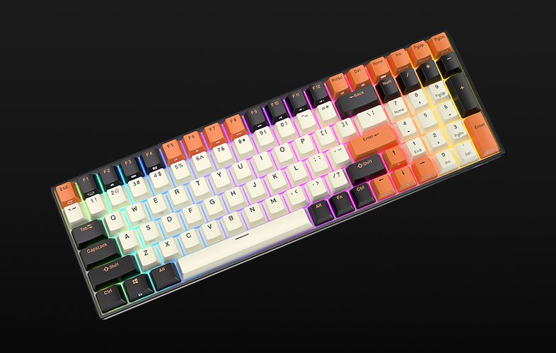 Mechanical keyboard Royal Kludge RK100 RGB, brown switch (black-orange), Royal Kludge RK100