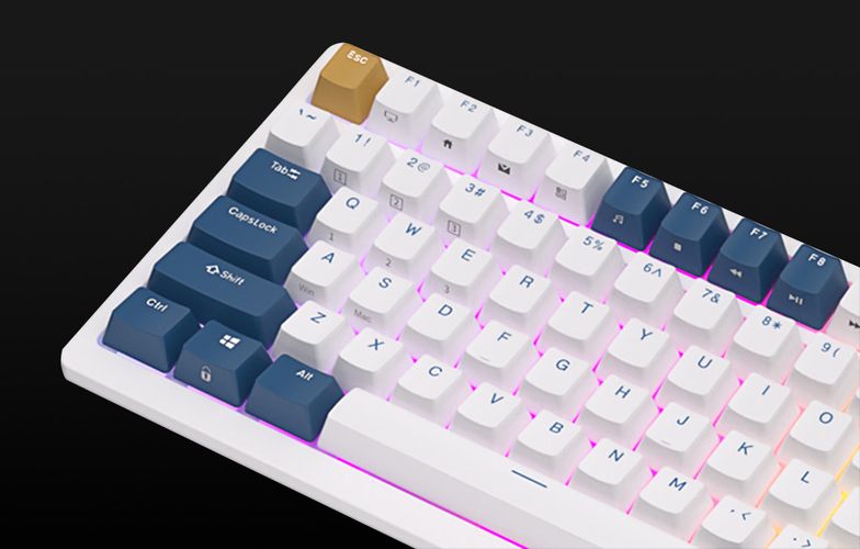 Mechanical keyboard Royal Kludge RK98 RGB, Red switch (blue), Royal Kludge RK98 blu