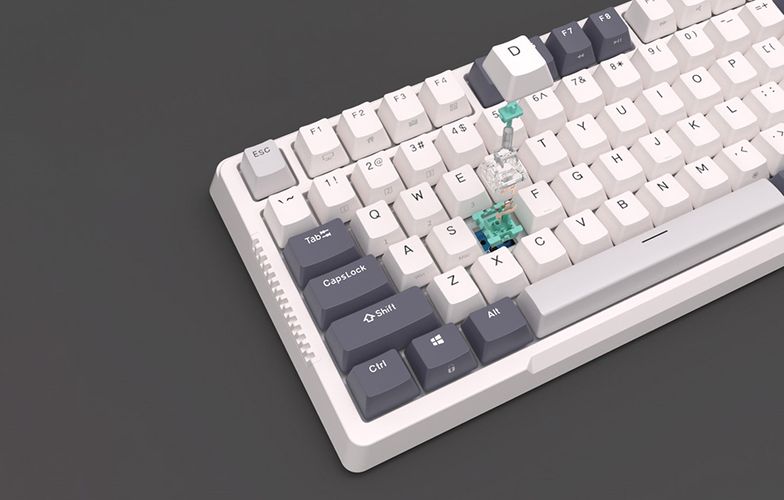 Mechanical keyboard Royal Kludge RKH81 RGB, Sky cyan switch (white), Royal Kludge RKH81 skycyan switch