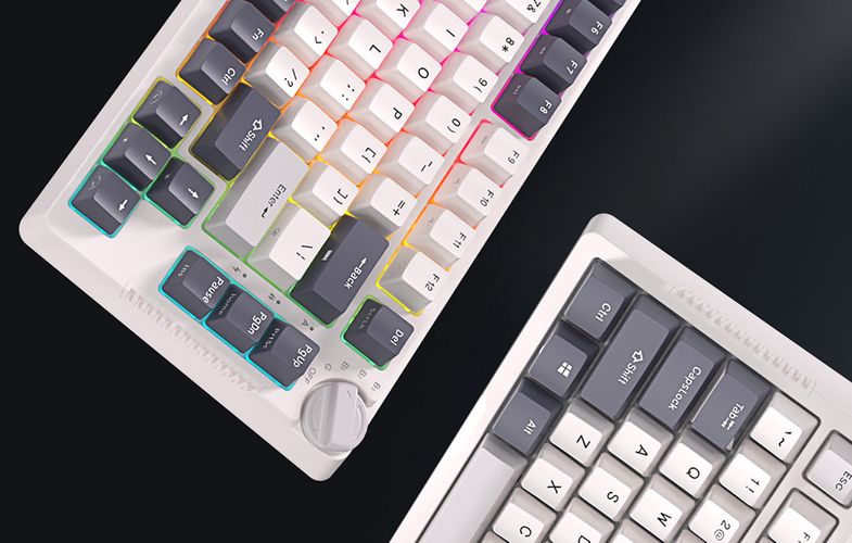 Mechanical keyboard Royal Kludge RKH81 RGB, Sky cyan switch (white), Royal Kludge RKH81 skycyan switch