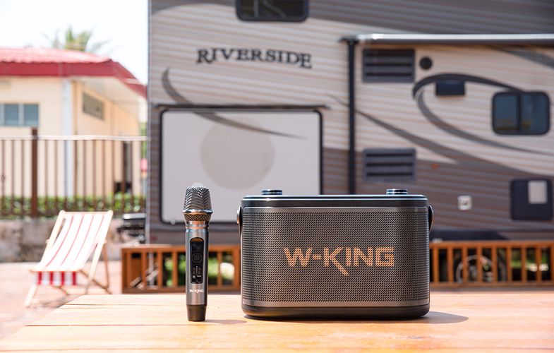 Wireless Bluetooth Speaker W-KING H10 120W + 2 microphones (black), W-KING H10-black