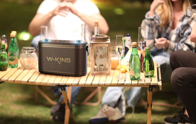 Wireless Bluetooth Speaker W-KING H10 120W + 2 microphones (black), W-KING H10-black