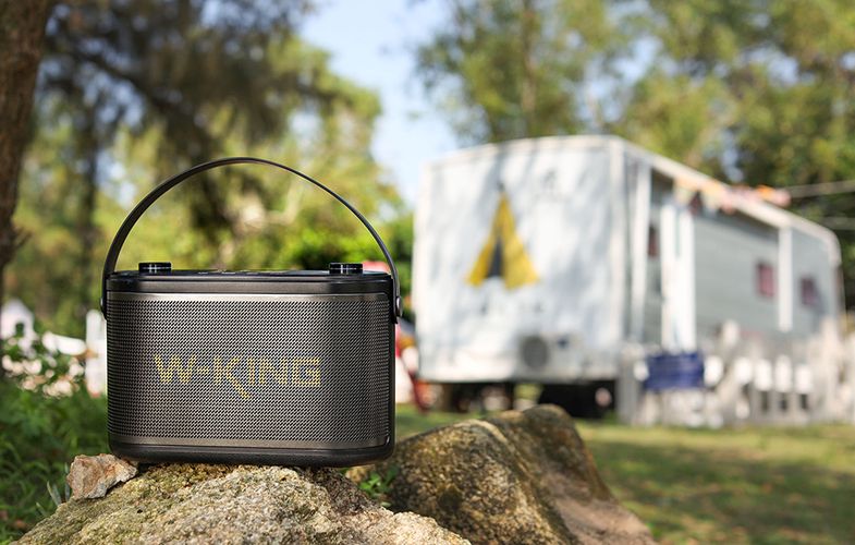 Wireless Bluetooth Speaker W-KING H10 120W + 2 microphones (black), W-KING H10-black