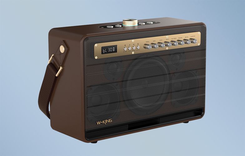 Wireless Bluetooth Speaker W-KING K6L 120W + 2 microphones (brown), W-KING K6L brown