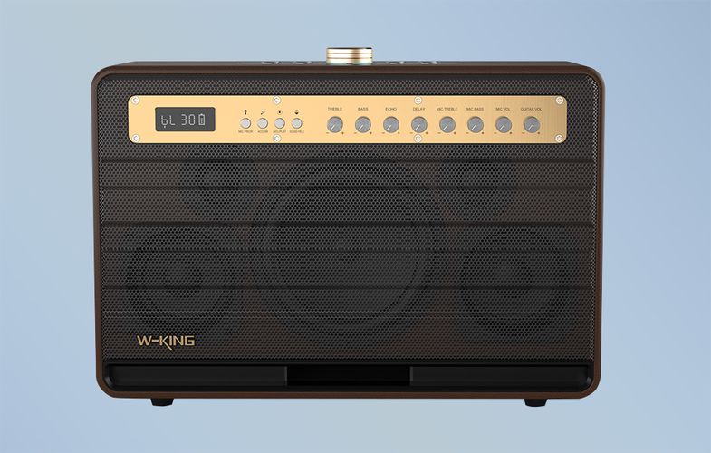 Wireless Bluetooth Speaker W-KING K6L 120W + 2 microphones (brown), W-KING K6L brown