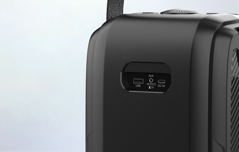 Wireless Bluetooth Speaker W-KING T9II 60W + microphone (black), W-KING T9II black