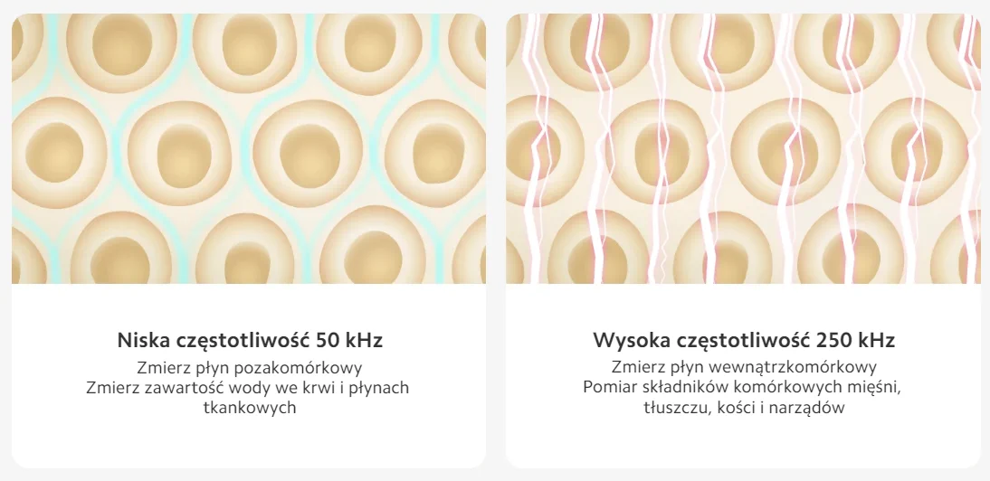 Xiaomi Body Composition Scale S400 | Waga łazienkowa | 0.1 kg - 150 kg, Bluetooth 5.0, 3x AAA, XIAOMI BODY COMPOSITION SCALE S400 6941812751985
