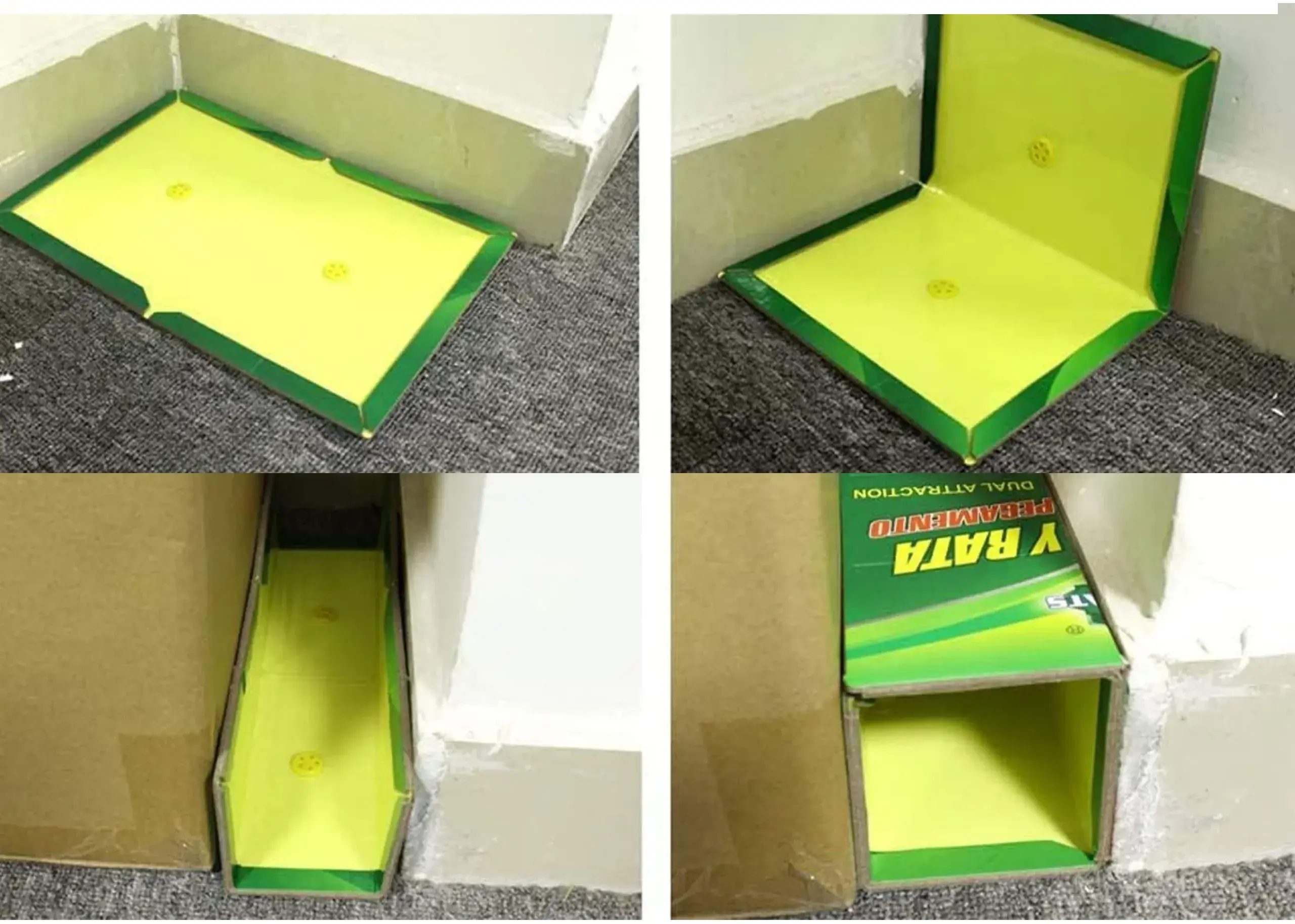 Extralink Mouse and Rat Glue Trap, Strong Adhesive Powerful Sticky Pad with Scent, 50 Pieces, EXTRALINK EX.21281 5907207221281