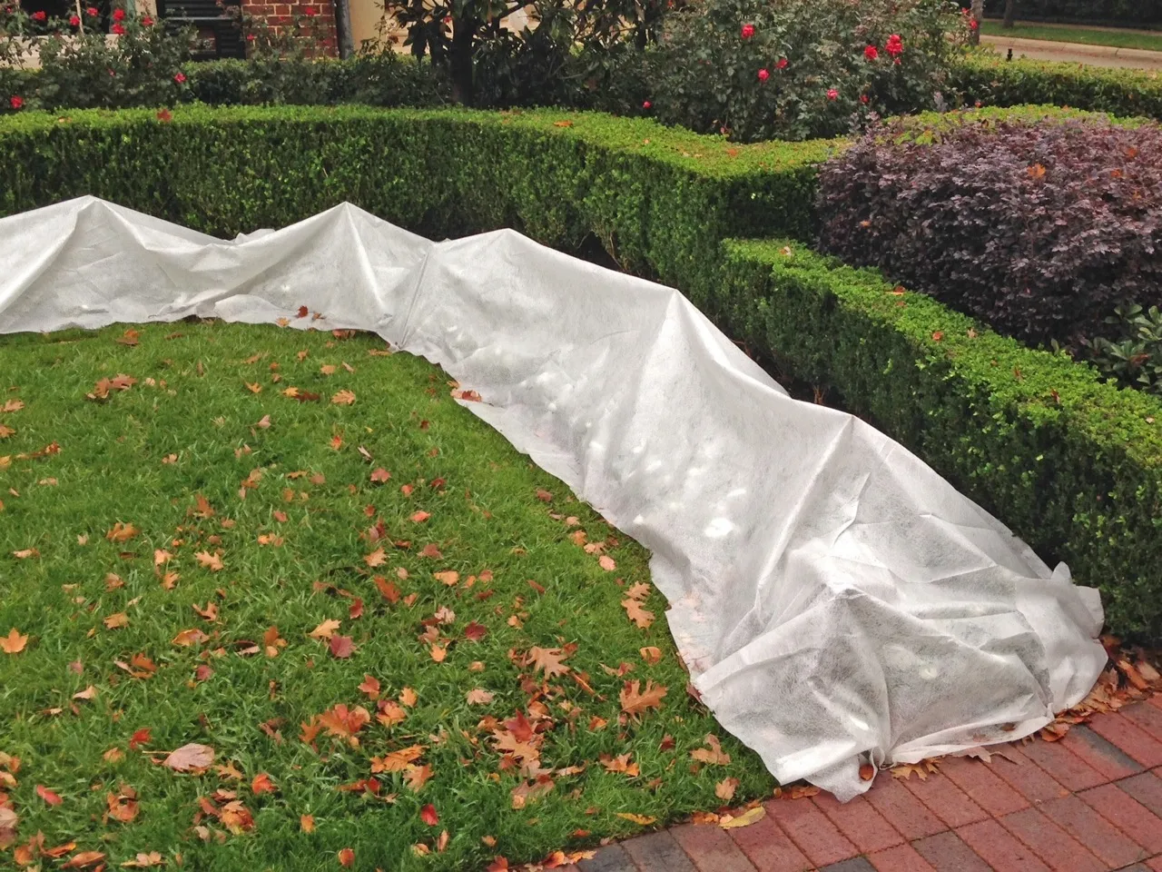 Black Forest Agro Fabric, Winter Protective Covering 50x1.6m 50g White Shade, EXTRALINK EX.24749 5907207224749