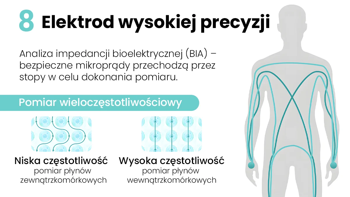 EXTRALINK SMARTLIFE WAGA ŁAZIENKOWA Z ANALIZĄ SKŁADU CIAŁA K-205, EXTRALINK EX.29171 5907207229171