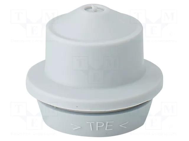 Grommet; elastomer thermoplastic TPE; light grey; 6÷13mm; IP65 HENSEL HENSEL-EDK-20