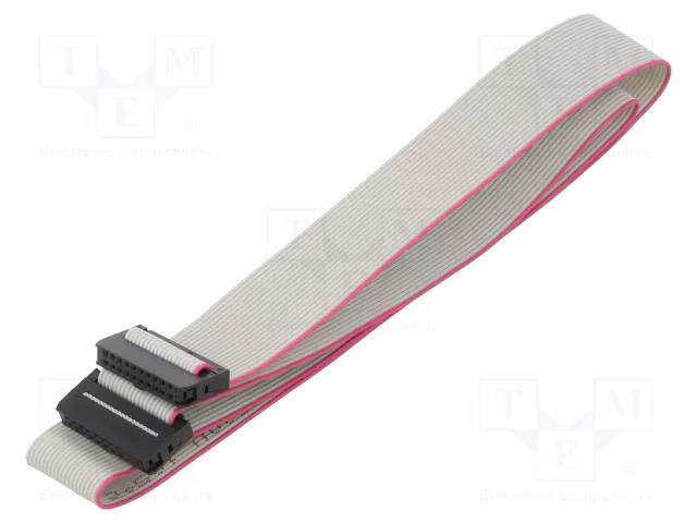 Ribbon cable with IDC connectors; Tape ph: 1mm; Contacts ph: 2mm CONNFLY DS1052-01-20MA2060