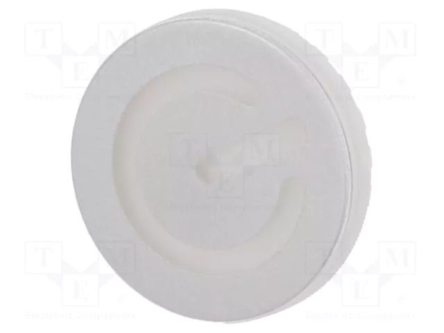 Actuator lens; 22mm; 84; transparent; plastic EAO 84-7111.703