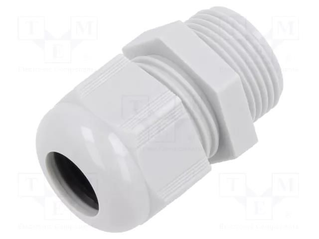 Cable gland; without nut; PG48; IP68; polyamide; light grey TE Connectivity 1SNG601238R0000