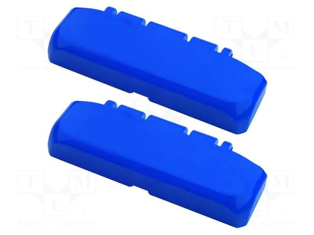 Hinge; ABS; BOCUBE; blue; 2pcs. BOPLA BSC17-ABS-5002