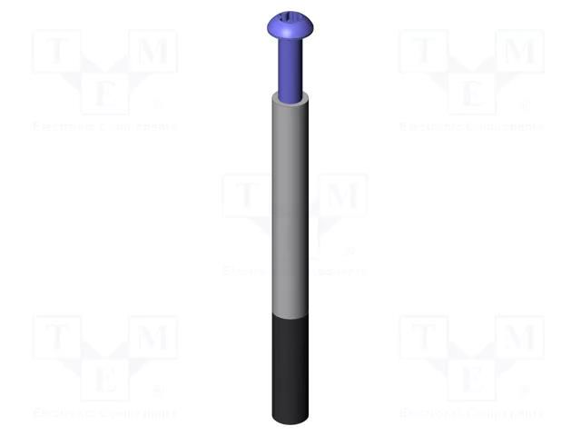 Push rod; Ø: 6mm; screw-in; L: 60mm; Thread: M4x10 INGUN IGN-18870