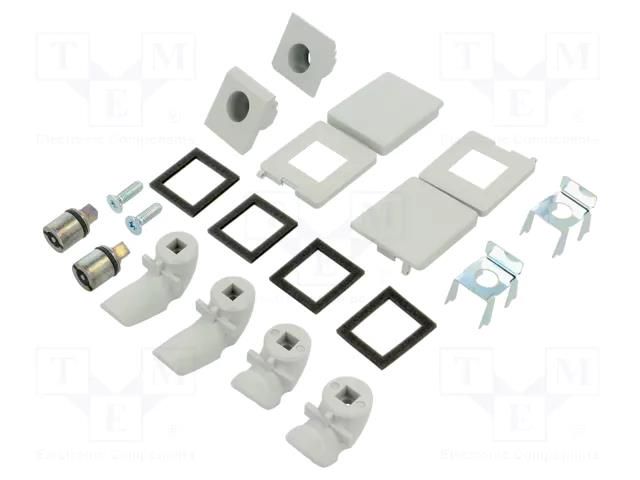 Lock cover; 2pcs. RITTAL RITTAL-2476100