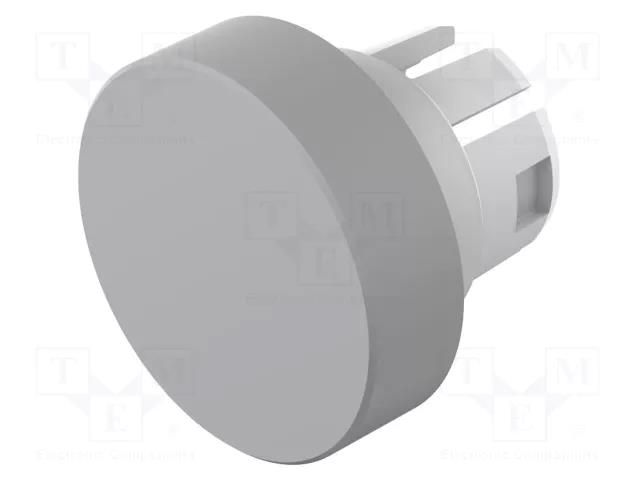 Actuator lens; 16mm; 51; grey; plastic; Face dim: Ø15.8mm EAO 51-931.8