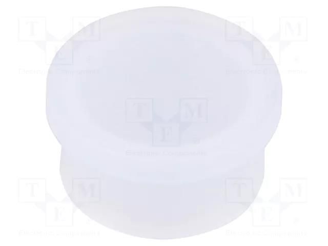 Protection cover; male M12 connectors LUTRONIC 9912-CPM1