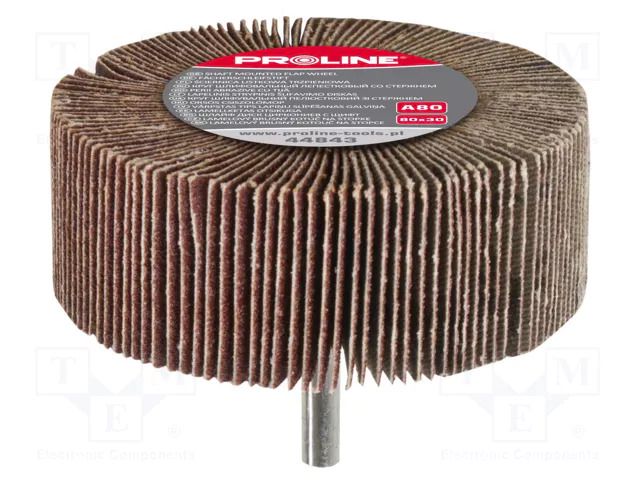 Grinding pin; Granularity: 80; flap,with lever; Mounting: rod 6mm PROLINE PRE-44843