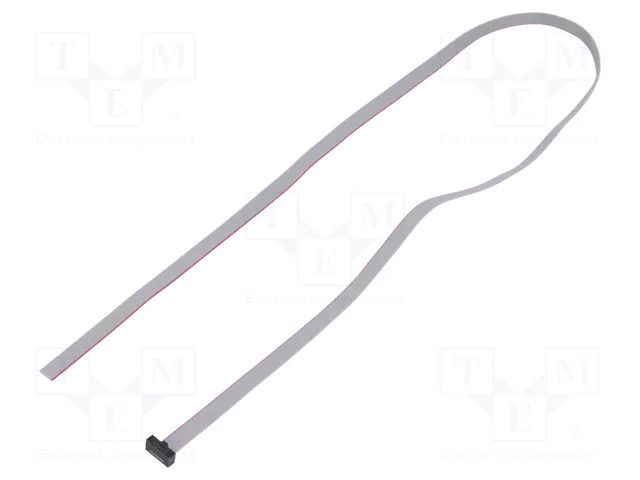 Ribbon cable with IDC connectors; IDC,wires; Tape ph: 0.64mm SAMTEC FFSD05S240001N