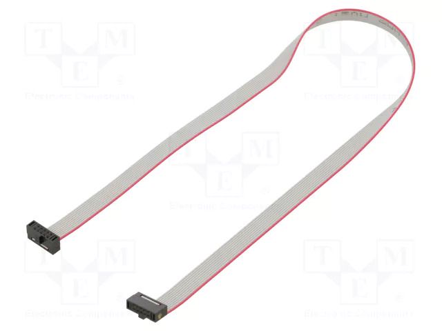 Ribbon cable with IDC connectors; IDC,both sides; 299.72mm SAMTEC FFSD05D118001N