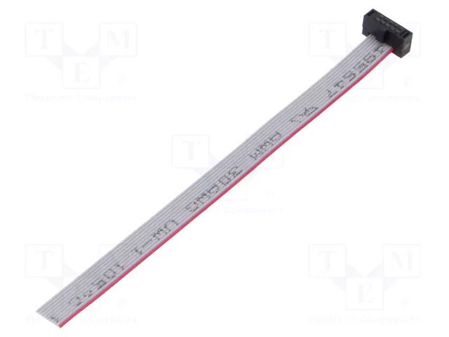 Ribbon cable with IDC connectors; IDC,wires; Tape ph: 0.64mm SAMTEC FFSD05S040001FN