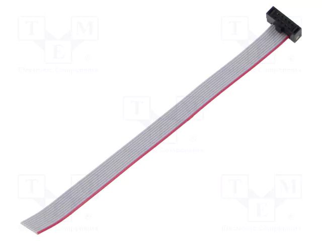 Ribbon cable with IDC connectors; IDC,wires; Tape ph: 0.64mm SAMTEC FFSD05S040001N