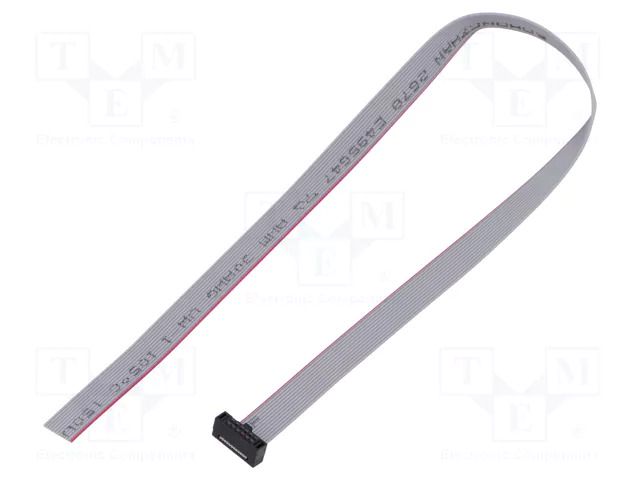 Ribbon cable with IDC connectors; IDC,wires; Tape ph: 0.64mm SAMTEC FFSD06S120001N