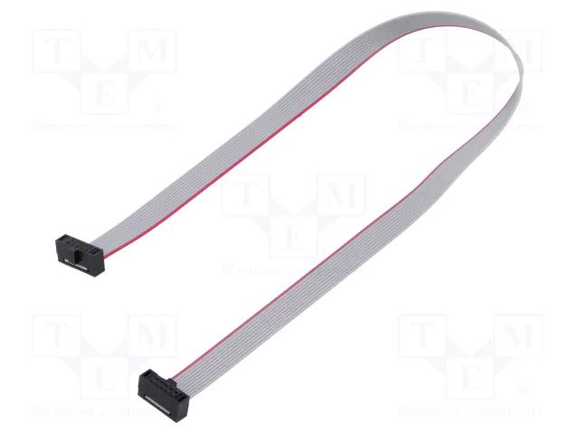 Ribbon cable with IDC connectors; IDC,both sides; 254.25mm SAMTEC FFSD05D100101N