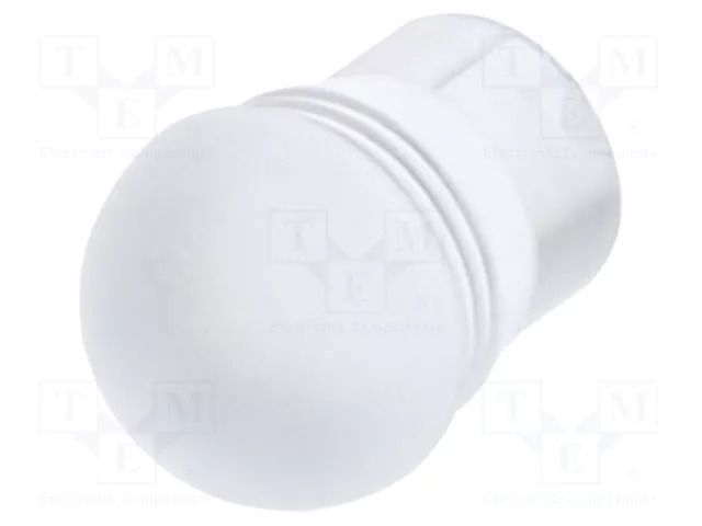 Fiber for LED; Ø5.2mm; L: 4.5mm; round; Front: convex; straight MENTOR MR-1293.5002