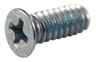 SCREWS, PK100 1455MS100