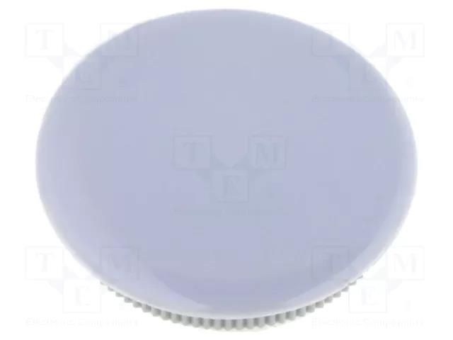 Cap; grey; Mounting: push-in; plastic MENTOR G334.664