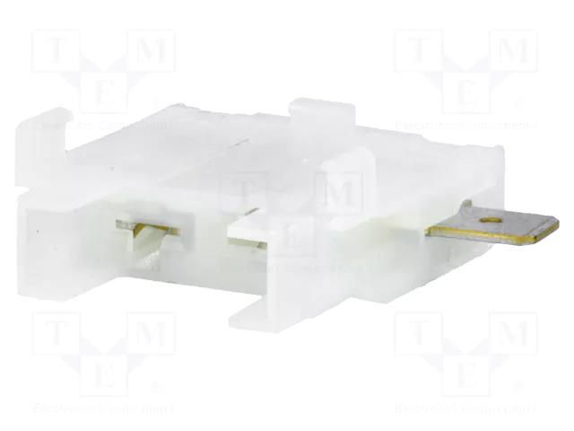 Fuse holder; automotive fuses; transparent MTA GB-341