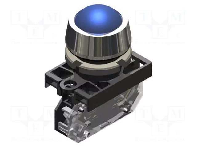 Control lamp; 22mm; NEK22; -15÷30°C; Illumin: LED; Ø22.5mm; IP65 PROMET NEK22M-LDSN