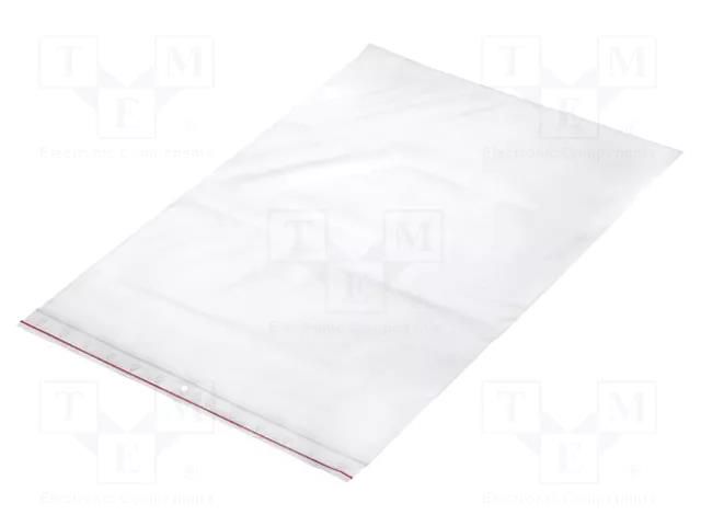 Self-seal bag; L: 400mm; Width: 300mm; Thick: 45um; polyetylene PLAST PL.TOR300X400