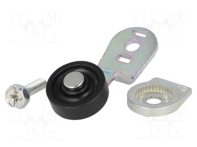 Driving head; lever R 43mm, plastic roller Ø20mm PIZZATO ELETTRICA VF-LE57